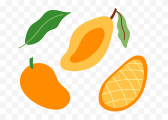 Mango half and whole tropical fruit vector set