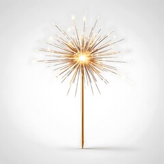 Fototapeta premium A Single Golden Sparler Burning Brightly