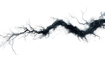Abstract Crack: A dramatic, high-contrast image depicting a large, dark crack resembling a lightning bolt or river, isolated on a pure white background.