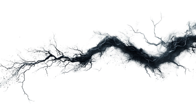 Abstract Crack: A dramatic, high-contrast image depicting a large, dark crack resembling a lightning bolt or river, isolated on a pure white background.