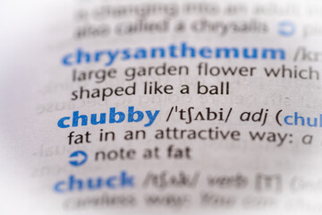 Chubby word in a dictionary. Selective focus, close up.