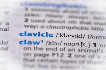 Clavicle word in a dictionary. Selective focus, close up.