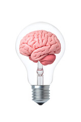 Human brain inside a light bulb representing the power of thinking