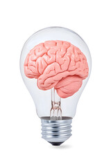 Human brain inside a light bulb representing the power of thinking