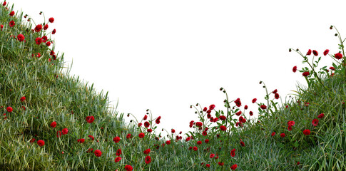 Fresh green grass red flowers isolated against a transparent background PNG