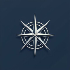 Fototapeta premium Silver Geometric Compass Logo