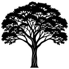 silhouette of tree