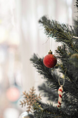 Christmas trees adorning cafes during the festive season