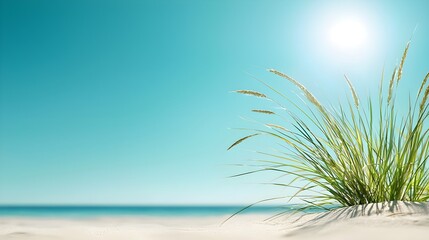 Obraz premium Seaside Grass with Clear Blue Sky and Bright Sunlight Background