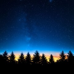 Fototapeta premium Starry Night Sky Over Tree Silhouette in Peaceful Nature Scene