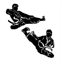 taekwondo vector icon logo illustration