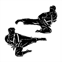 taekwondo vector icon logo illustration