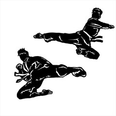 taekwondo vector icon logo illustration