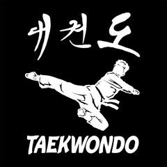 taekwondo vector icon logo illustration