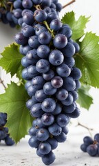 Blue grapes bunch with dew drops isolated on white background, vibrant colors, color combination