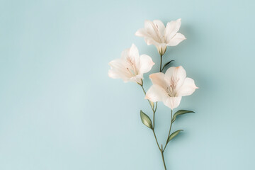 Fototapeta premium Flowers bouquet Mothers Day Valentines love gift colorful background pastel minimalist