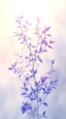 Fototapeta premium Delicate Lavender Plant Branches With Soft Leaves