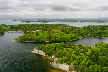 Obraz premium Aerial view of large pine trees on a banks of Muckross Lake, also called Middle Lake or The Torc, located in Killarney National Park, County Kerry, Ireland