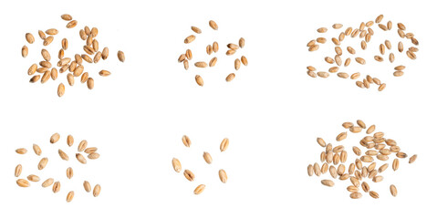 wheat grains isolated on white background	
