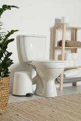 Ceramic toilet bowl, necessities and houseplant in restroom
