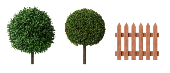 Lush green trees and wooden fence in vibrant garden setting