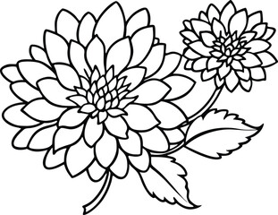 Chrysanthemum Line Art with Leaves and Buds