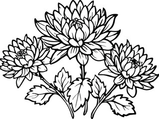 Chrysanthemum Line Art with Leaves and Buds