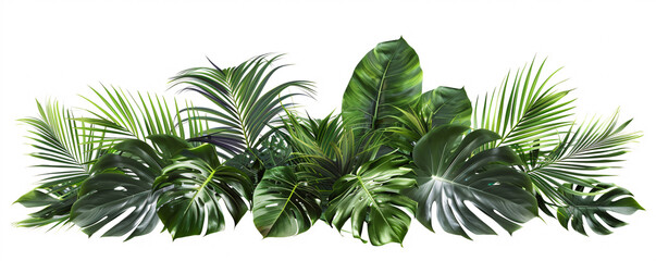 Tropical green leaf collection isolated on white
