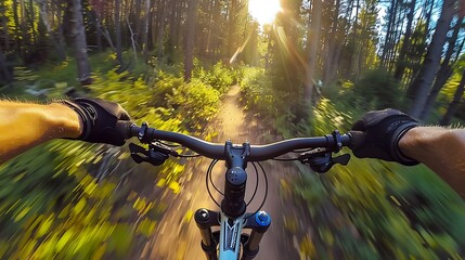 Mountain Biking Through A Sun Drenched Forest Trail