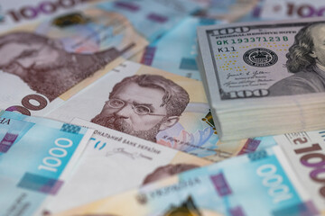 100 dollar and 1000 hryvnia banknote