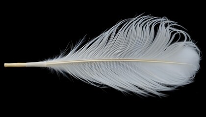 Obraz premium a white feather on a black background