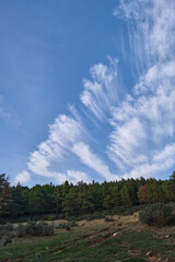 Picturesque clouds feathers beautiful sky and nature