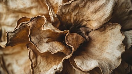 Dried Flower Close-up: Exquisite Texture and Details