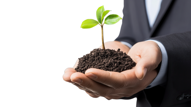 Nurturing Growth: A businessman's cupped hands cradle a delicate seedling, symbolizing the careful nurturing and growth of new ventures, ideas, and opportunities.   - Powered by Adobe