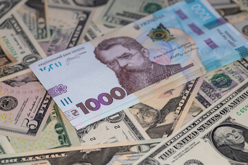 100 dollar and 1000 hryvnia banknotes