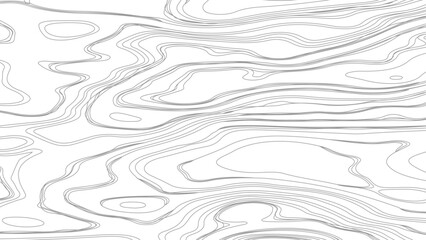 Topography and geography map grid abstract backdrop. Business concept. Fish Fillet Texture, Salmon fillet texture, fish pattern. paper texture