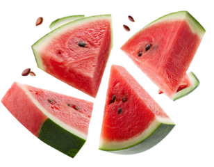 Watermelon pieces falling isolated on white background, cutout