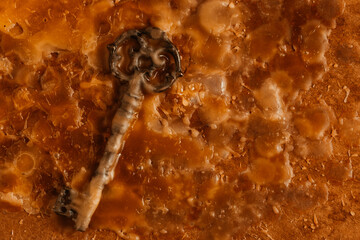Old key on paper is covered with wax.