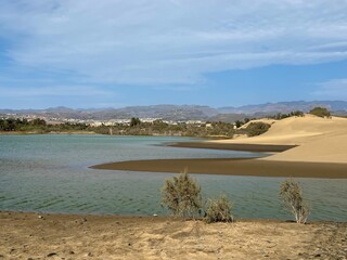 La Charca de Maspalomas lagoon in the Maspalomas dunes, Gran Canaria