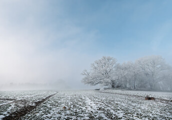 Fototapeta premium Starkes Winterwetter bei Reif auf Felder und an Bäumen Panorama