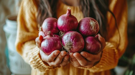 Freshly Harvested Onions in Woman's Hands