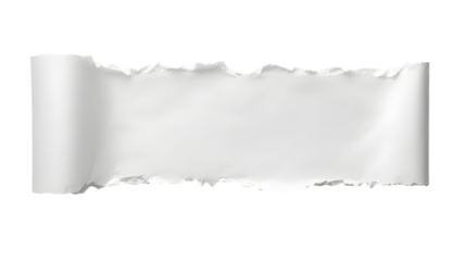 Torn paper isolated on transparent background. Cut out