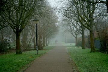 Park im Nebel