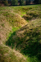 The image shows a section of a field with trenches, at Vimy Ridge a historical battle of WW1. The uneven, ridged terrain suggests the trenches were dug into the earth. 