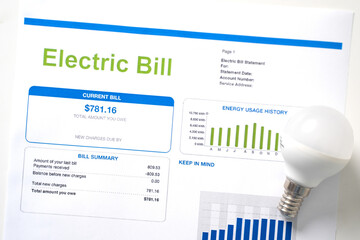 Home electricity expenses and bill statement document