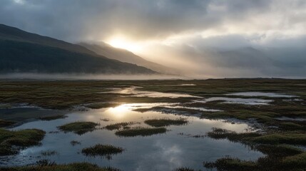 Fototapeta premium Sunrise over misty mountain lake, wetland reflection