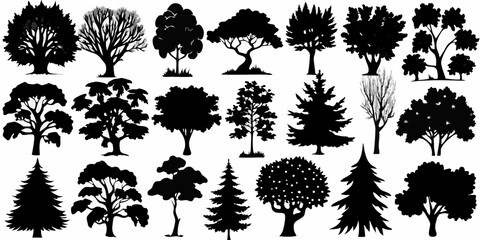 Pine tree silhouettes. Evergreen forest firs and spruces black shapes, wild nature trees templates. Vector illustration woodland trees set on white background.