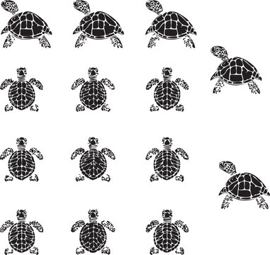Set of turtle Seamless Pattern graphic vector