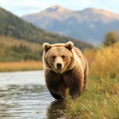 Fototapeta premium A majestic bear walks alongside a serene river, surrounded by stunning mountains and lush greenery, embodying the beauty of nature.