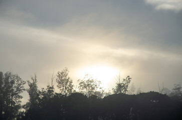 Foggy morning, a beautiful foggy morning in the summer of Brazil, Selective focus.